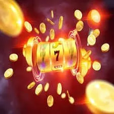 pakrummycom Bonus
